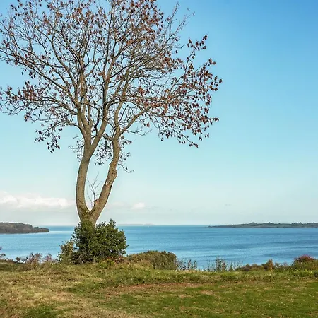 Leilighet Boris - 500m From The Sea By Interhome